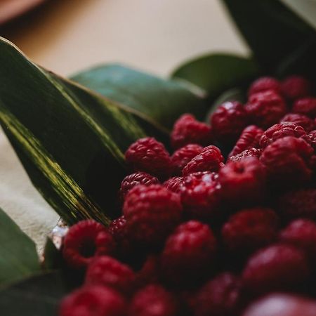 Sandalwood Lodge هراري المظهر الخارجي الصورة